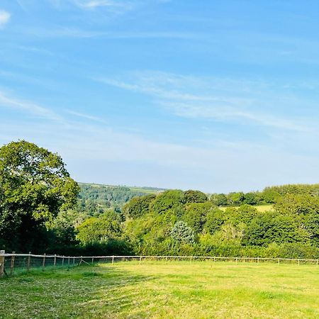 1 Bedroom Holiday Let In The Heart Of West Wales 카마던 외부 사진